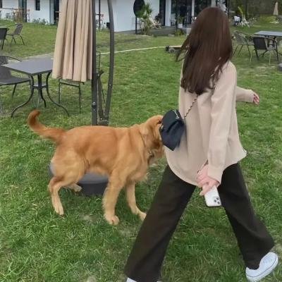 安全维纳斯