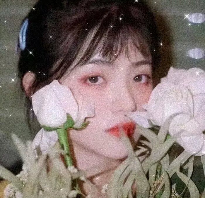 乔西的虎与鱼